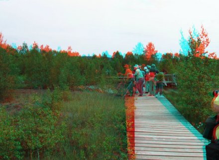 Retour à la nature d'une tourbière
