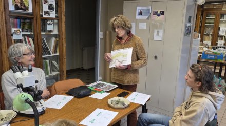 Biologie et morphologie