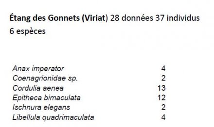 Espèces vues à l'étang des Gonnets